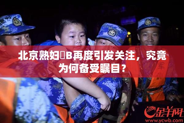 北京熟妇槡B再度引发关注，究竟为何备受瞩目？