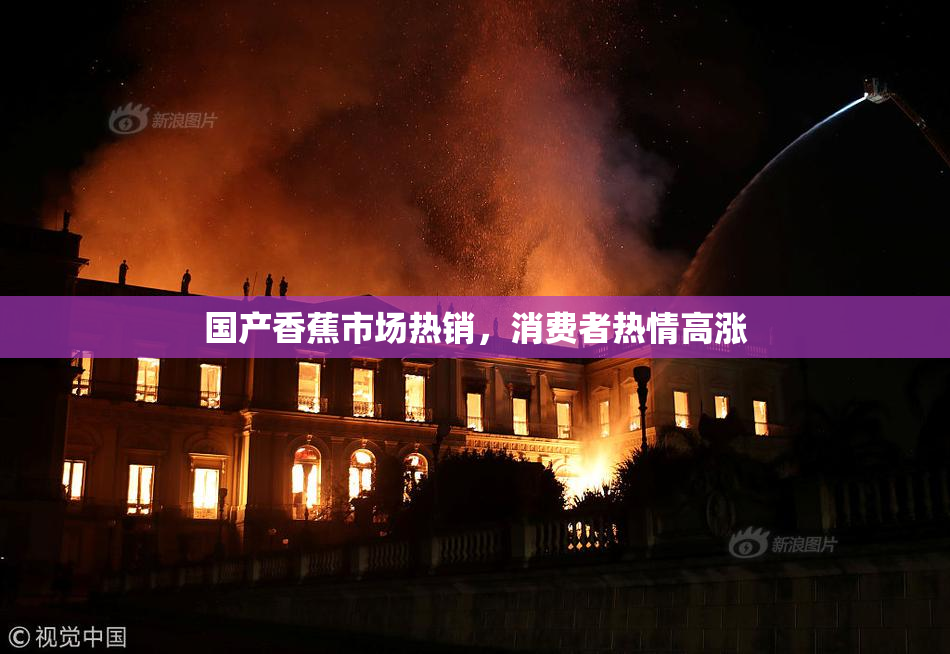 国产香蕉市场热销，消费者热情高涨
