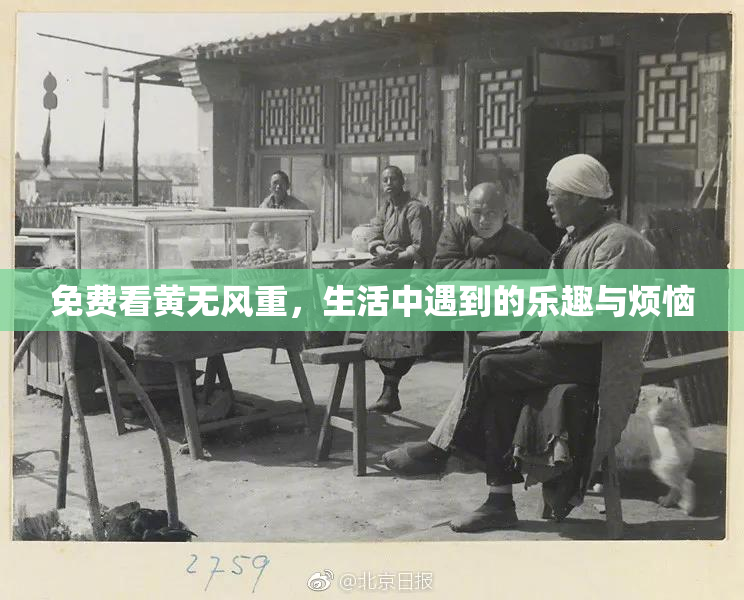 免费看黄无风重，生活中遇到的乐趣与烦恼