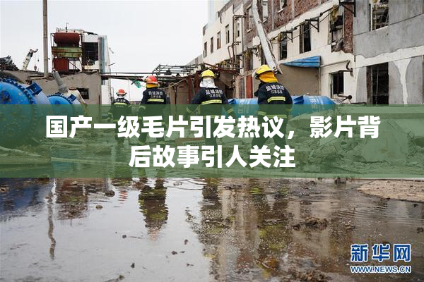 国产一级毛片引发热议，影片背后故事引人关注