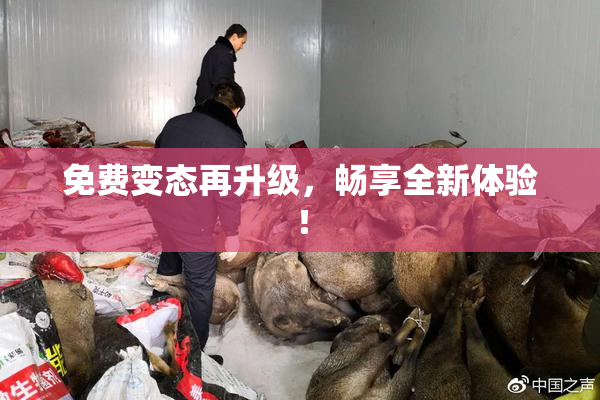 免费变态再升级，畅享全新体验！