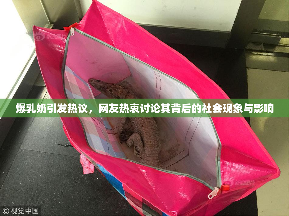 爆乳奶引发热议，网友热衷讨论其背后的社会现象与影响