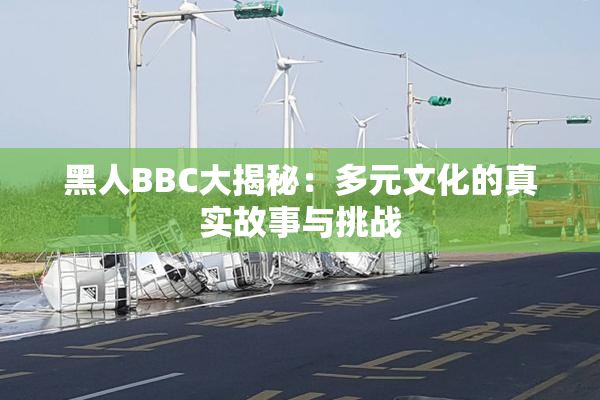 黑人BBC大揭秘：多元文化的真实故事与挑战