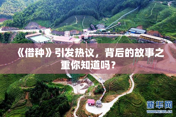 《借种》引发热议，背后的故事之重你知道吗？