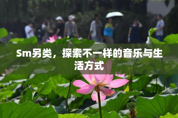 Sm另类，探索不一样的音乐与生活方式