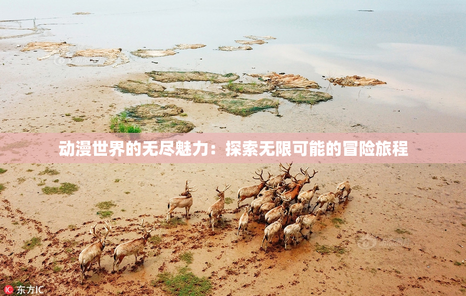 动漫世界的无尽魅力：探索无限可能的冒险旅程