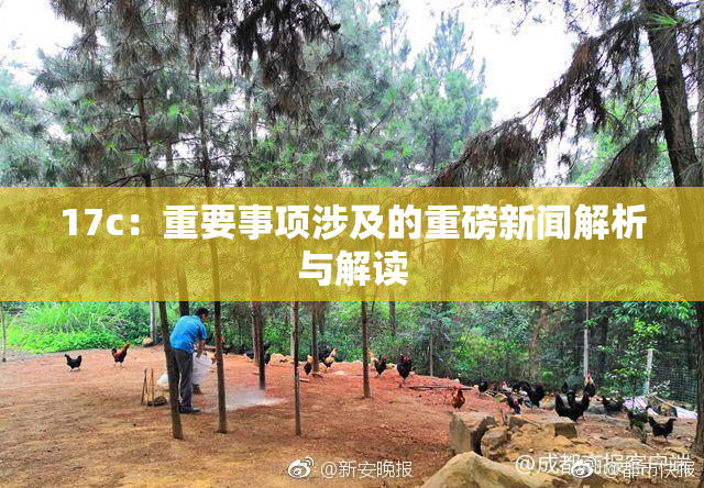 17c：重要事项涉及的重磅新闻解析与解读