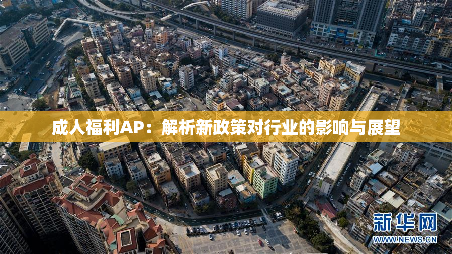 成人福利AP：解析新政策对行业的影响与展望