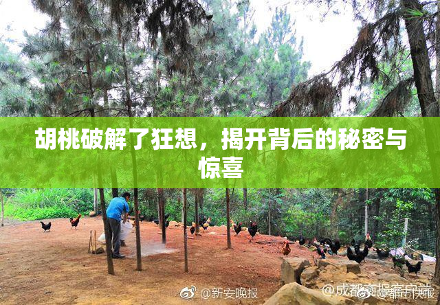 胡桃破解了狂想，揭开背后的秘密与惊喜