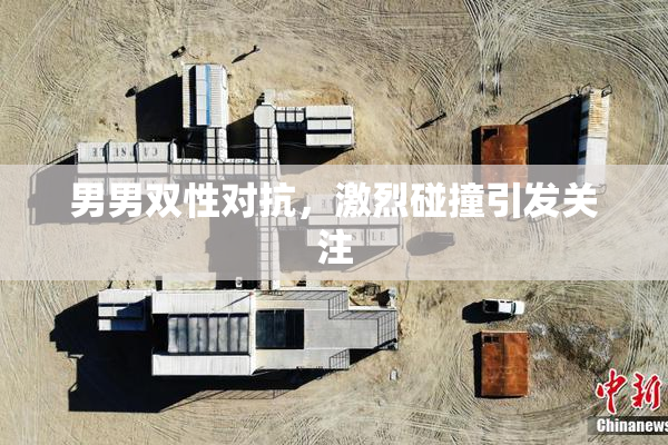 男男双性对抗，激烈碰撞引发关注