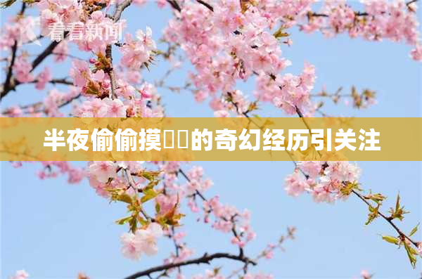 半夜偷偷摸妺妺的奇幻经历引关注