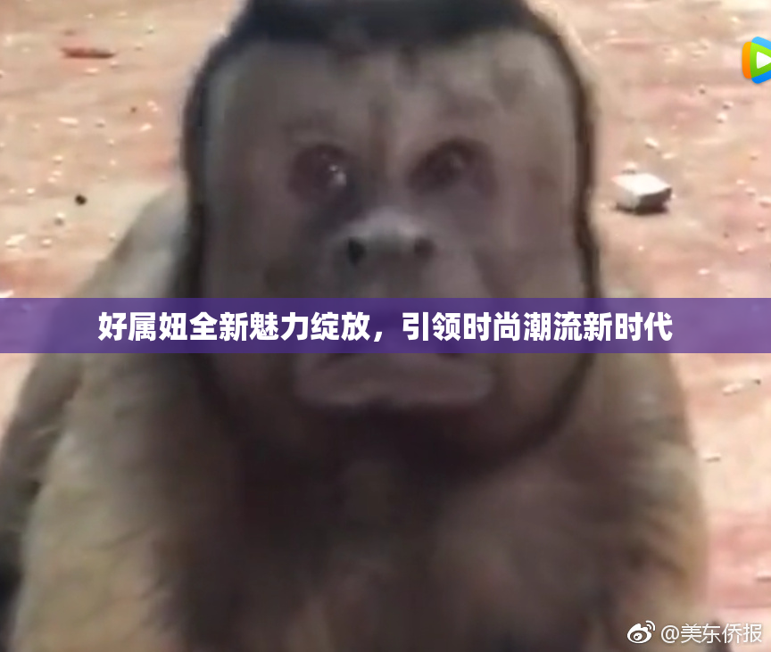好属妞全新魅力绽放，引领时尚潮流新时代