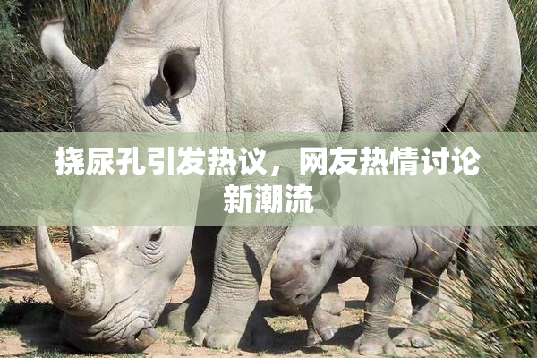 挠尿孔引发热议，网友热情讨论新潮流