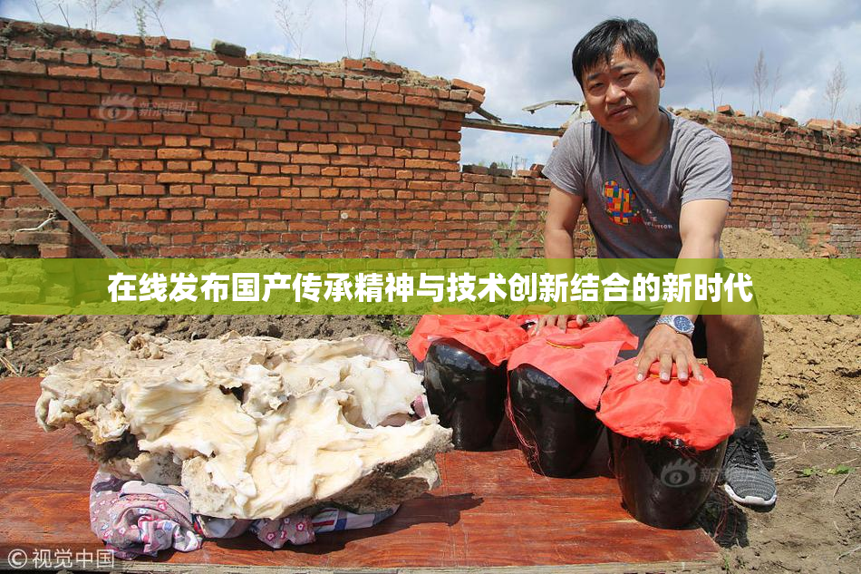 在线发布国产传承精神与技术创新结合的新时代
