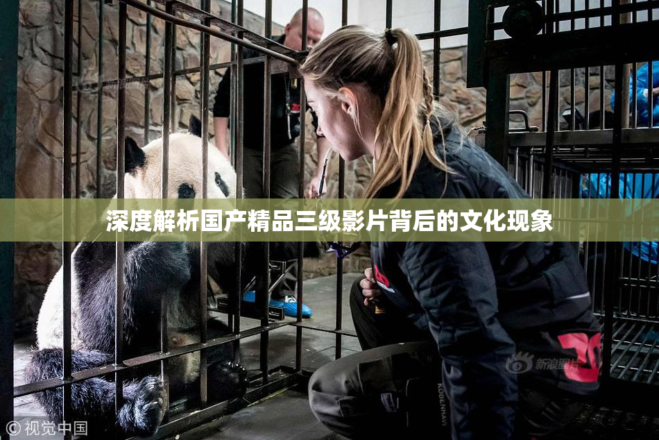 深度解析国产精品三级影片背后的文化现象