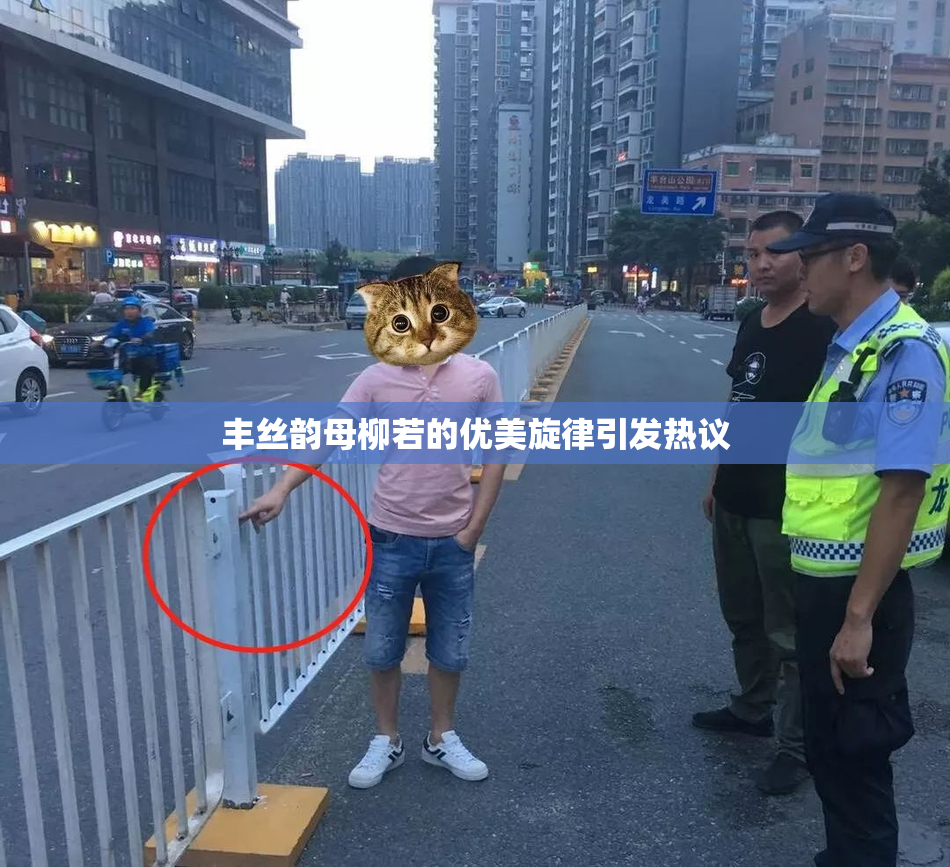 丰丝韵母柳若的优美旋律引发热议