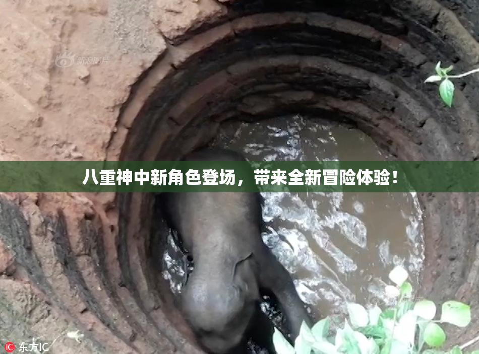 八重神中新角色登场，带来全新冒险体验！