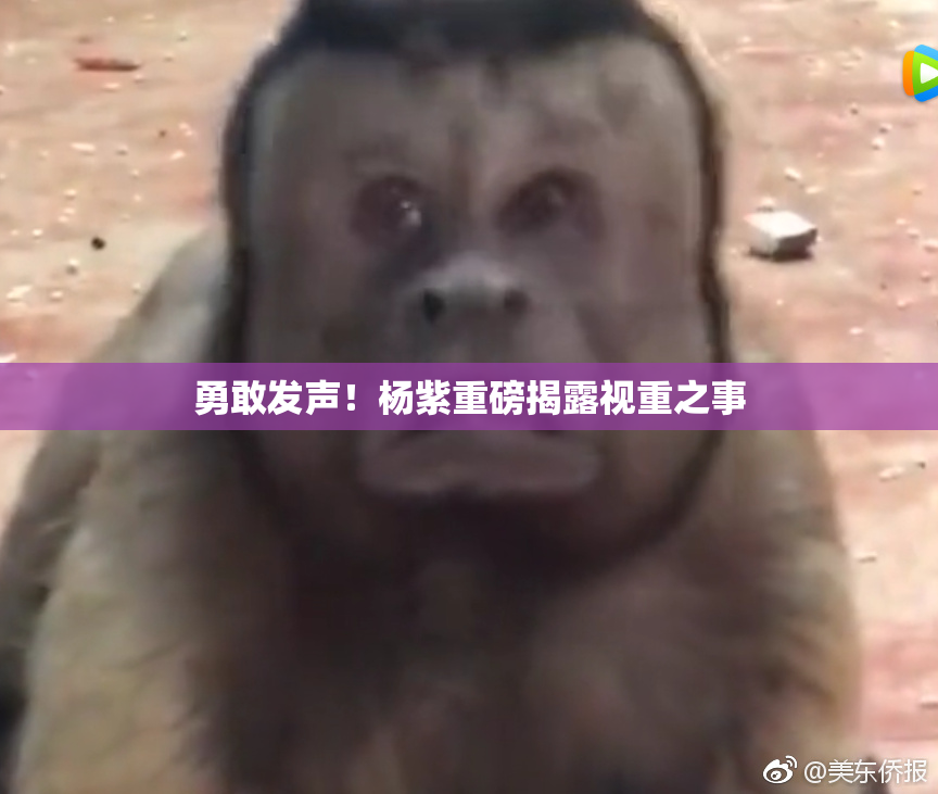 勇敢发声！杨紫重磅揭露视重之事