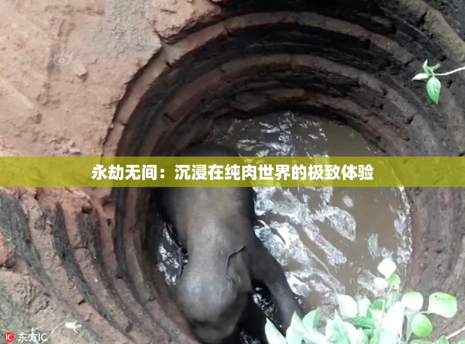永劫无间：沉浸在纯肉世界的极致体验