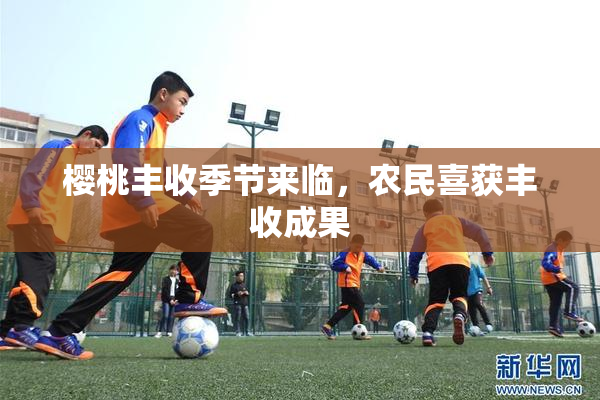 樱桃丰收季节来临，农民喜获丰收成果