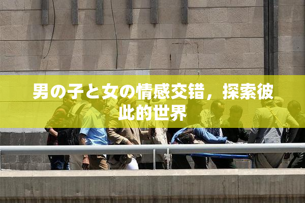 男の子と女の情感交错，探索彼此的世界