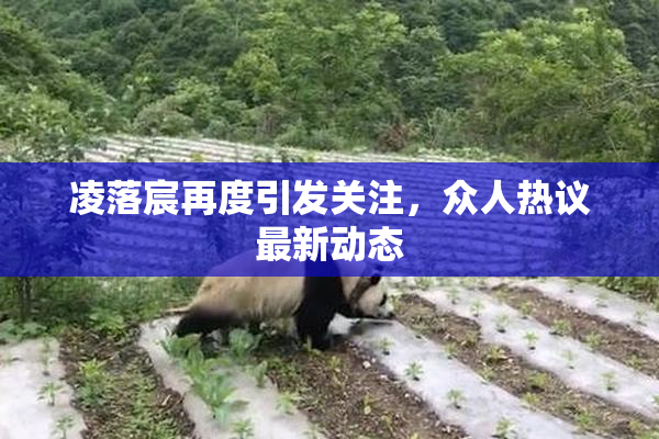 凌落宸再度引发关注，众人热议最新动态