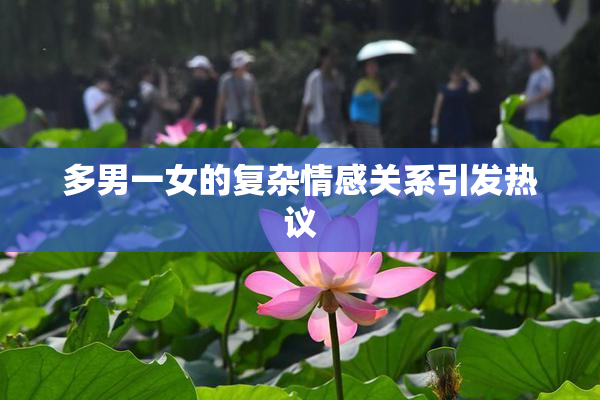 多男一女的复杂情感关系引发热议