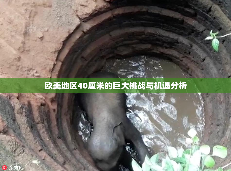 欧美地区40厘米的巨大挑战与机遇分析