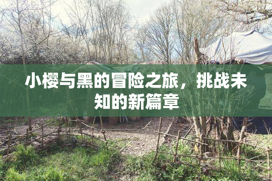 小樱与黑的冒险之旅，挑战未知的新篇章