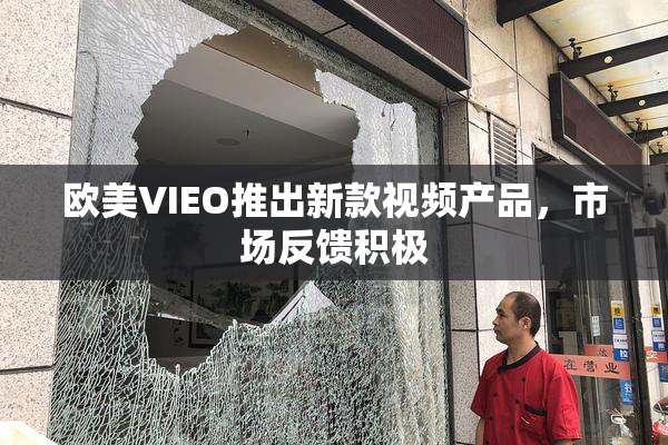 欧美VIEO推出新款视频产品，市场反馈积极