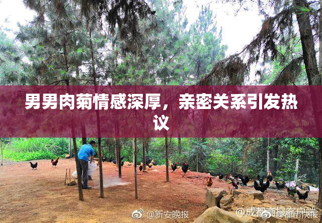 男男肉菊情感深厚，亲密关系引发热议