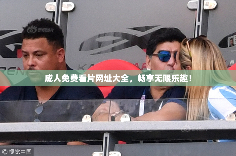 成人免费看片网址大全，畅享无限乐趣！
