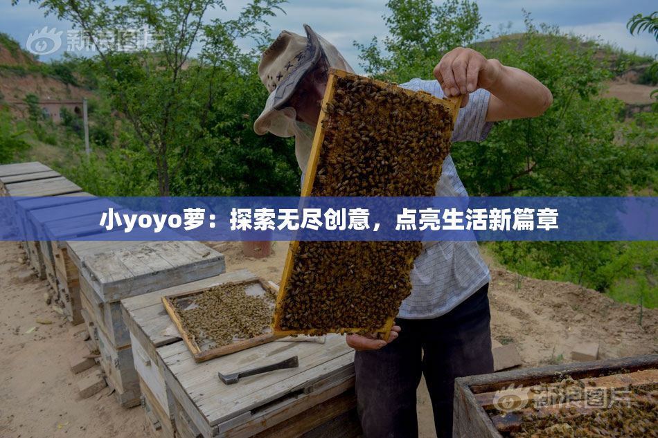 小yoyo萝：探索无尽创意，点亮生活新篇章