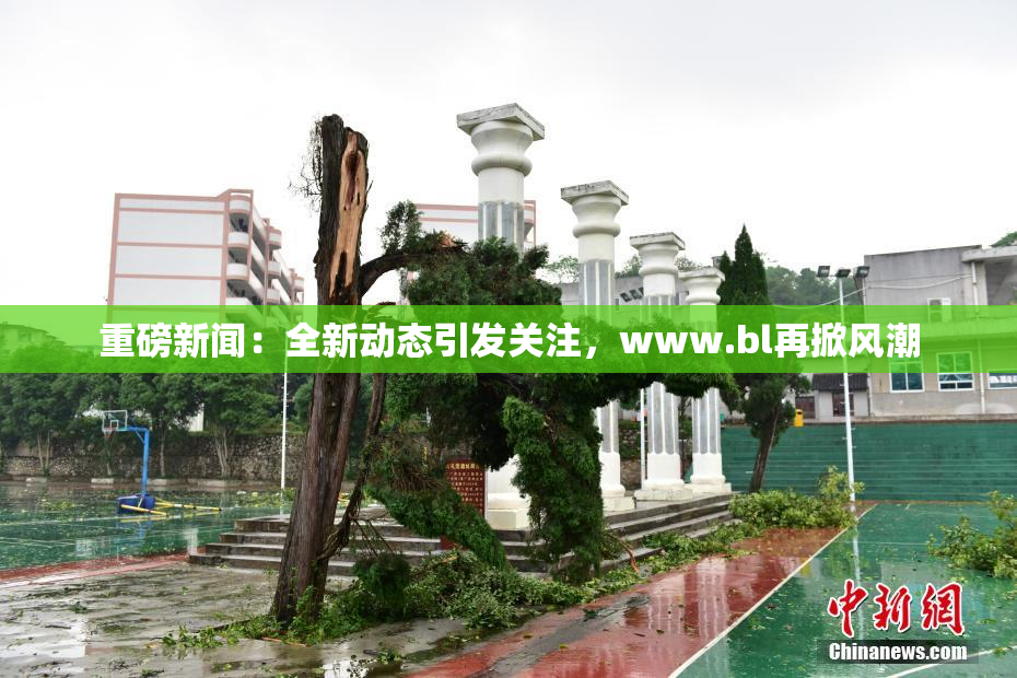 重磅新闻：全新动态引发关注，www.bl再掀风潮