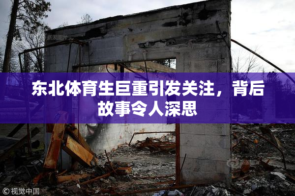 东北体育生巨重引发关注，背后故事令人深思