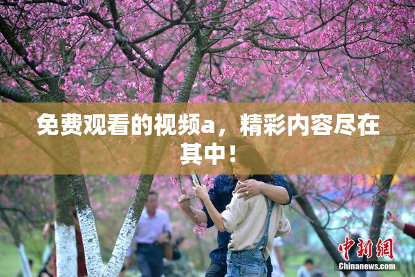免费观看的视频a，精彩内容尽在其中！