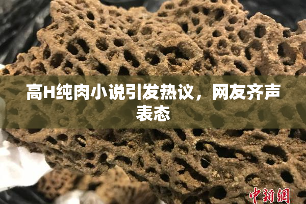 高H纯肉小说引发热议，网友齐声表态