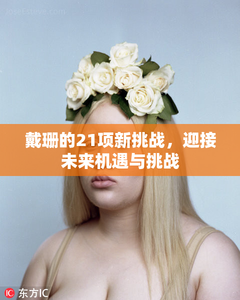 戴珊的21项新挑战，迎接未来机遇与挑战