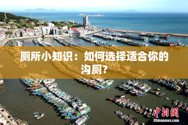 厕所小知识：如何选择适合你的沟厕？