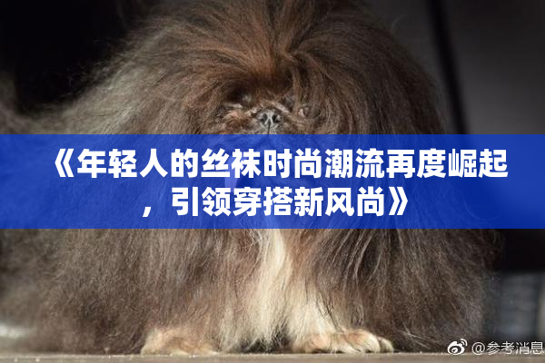 《年轻人的丝袜时尚潮流再度崛起，引领穿搭新风尚》
