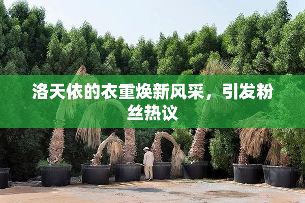 洛天依的衣重焕新风采，引发粉丝热议