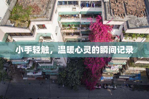 小手轻触，温暖心灵的瞬间记录