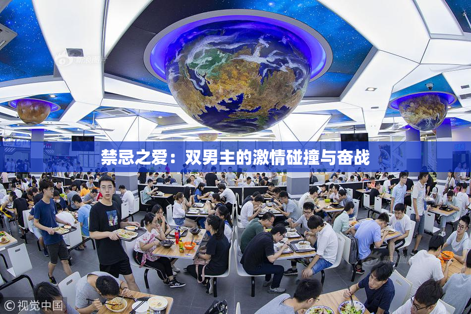 禁忌之爱：双男主的激情碰撞与奋战