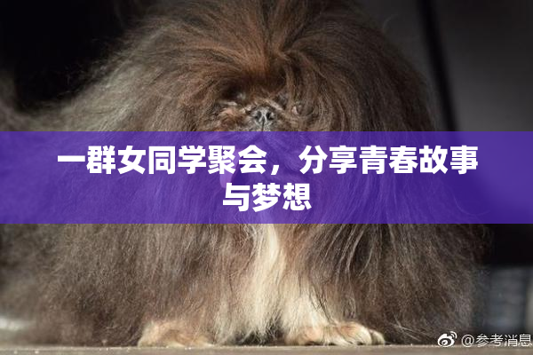 一群女同学聚会，分享青春故事与梦想