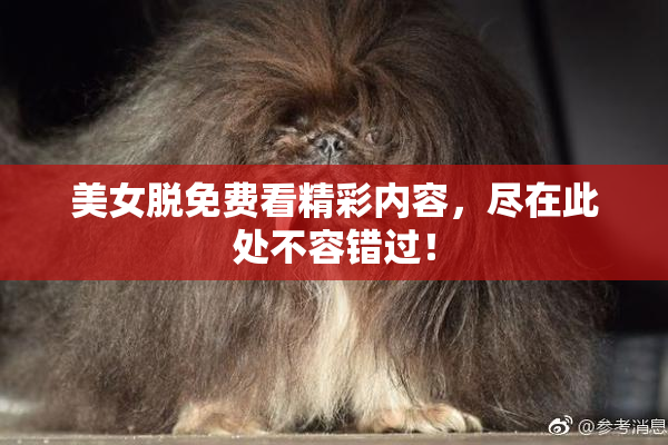 美女脱免费看精彩内容，尽在此处不容错过！