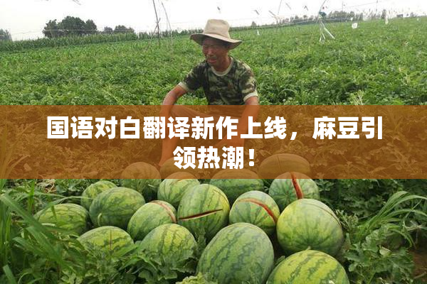国语对白翻译新作上线，麻豆引领热潮！