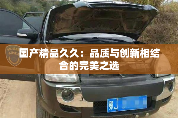国产精品久久：品质与创新相结合的完美之选