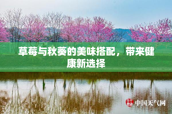 草莓与秋葵的美味搭配，带来健康新选择