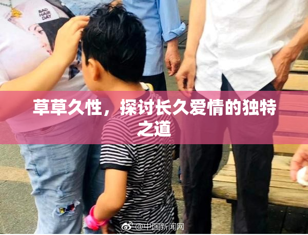 草草久性，探讨长久爱情的独特之道