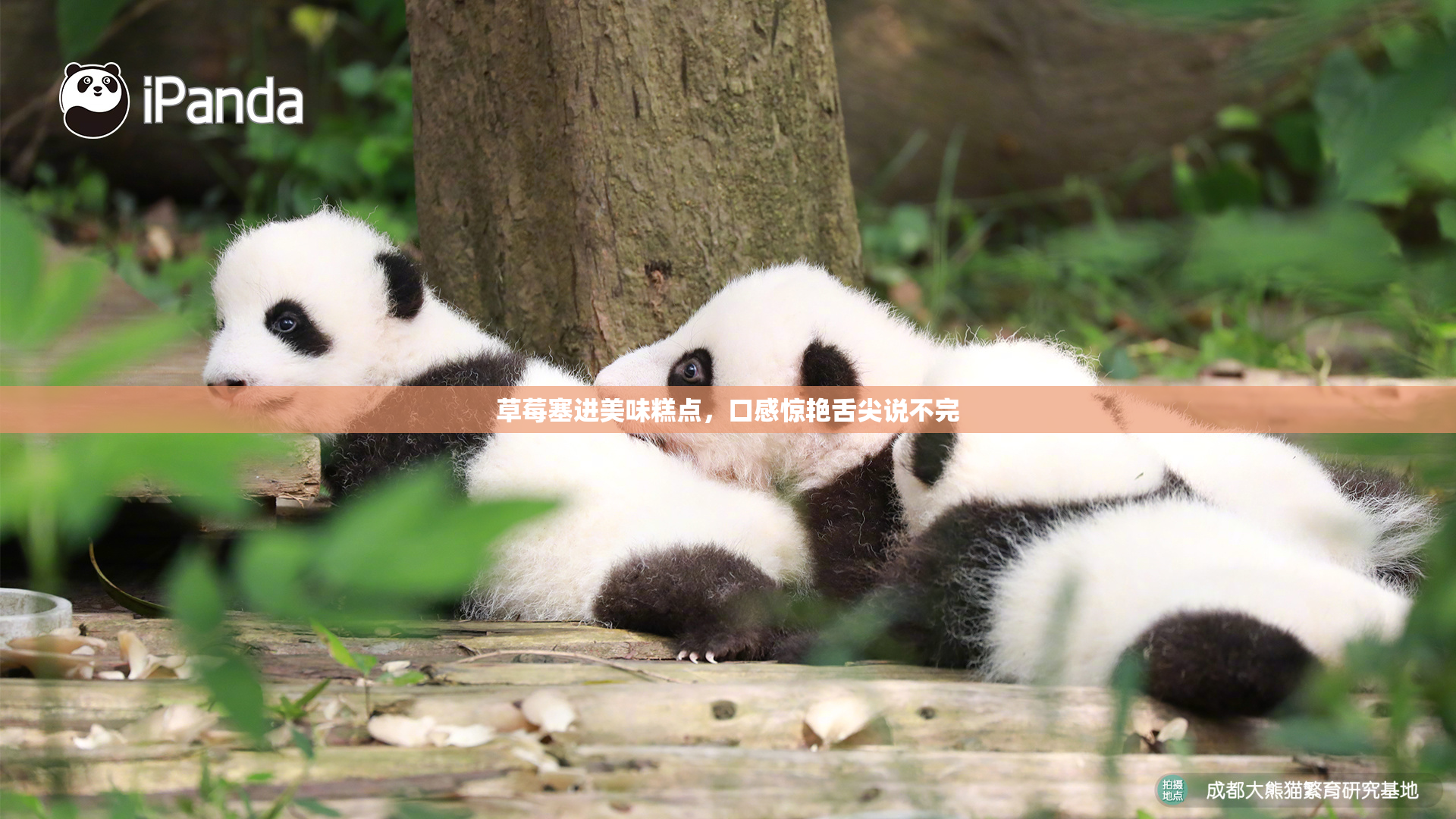 草莓塞进美味糕点，口感惊艳舌尖说不完
